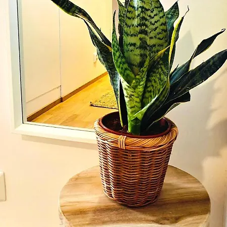 Luxurious Two-room Oulu
